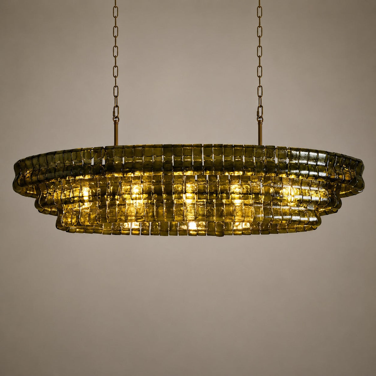 Oval Steel Chandelier Adjustable Hanging LED Light