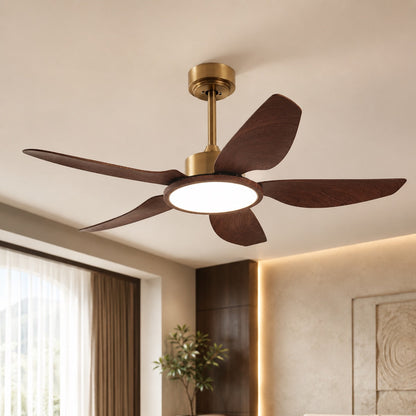 Walnut-Style Five Blade DC Ceiling Fan with Brushed Brass LED Disc 107 or 122 cm