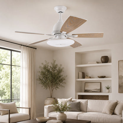 Plywood Blade Ceiling Fan with Glass Shade 50W Tri-Colour LED Light 132 cm