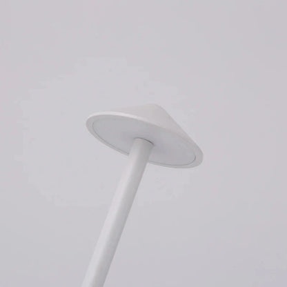 Modern Cordless Rechargeable Table Lamp Indoor Lighting 3 Colour Temperature Modes