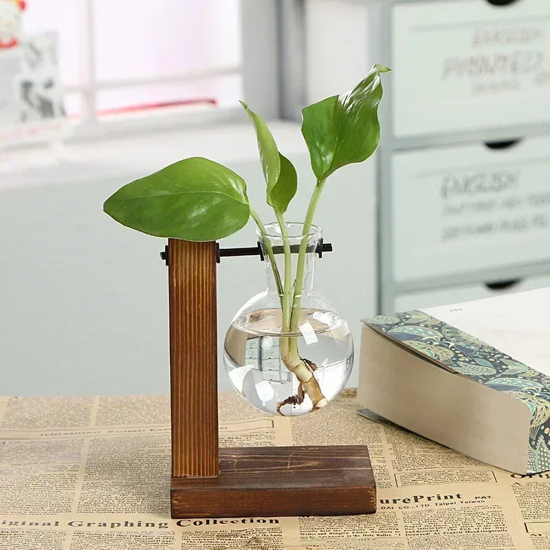 Glass Hydroponic Plant Terrarium Vase Propagation Bottle Desktop Office Green Home Decor