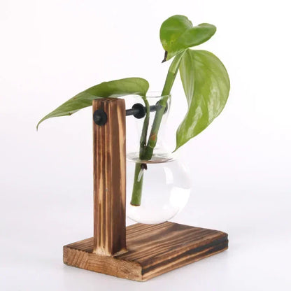 Glass Hydroponic Plant Terrarium Vase Propagation Bottle Desktop Office Green Home Decor