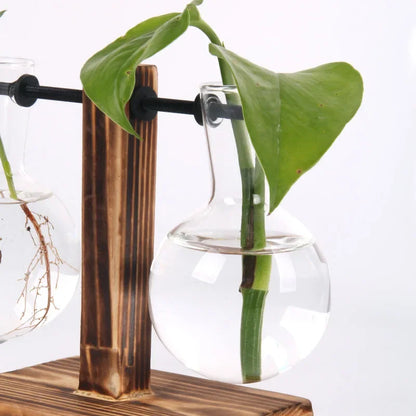 Glass Hydroponic Plant Terrarium Vase Propagation Bottle Desktop Office Green Home Decor