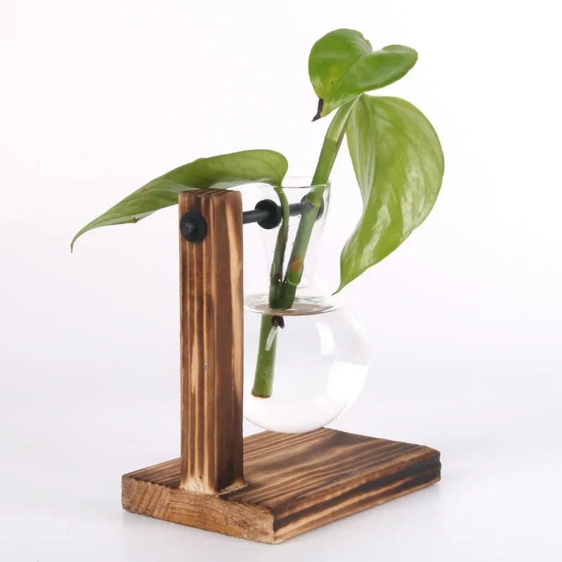Glass Hydroponic Plant Terrarium Vase Propagation Bottle Desktop Office Green Home Decor