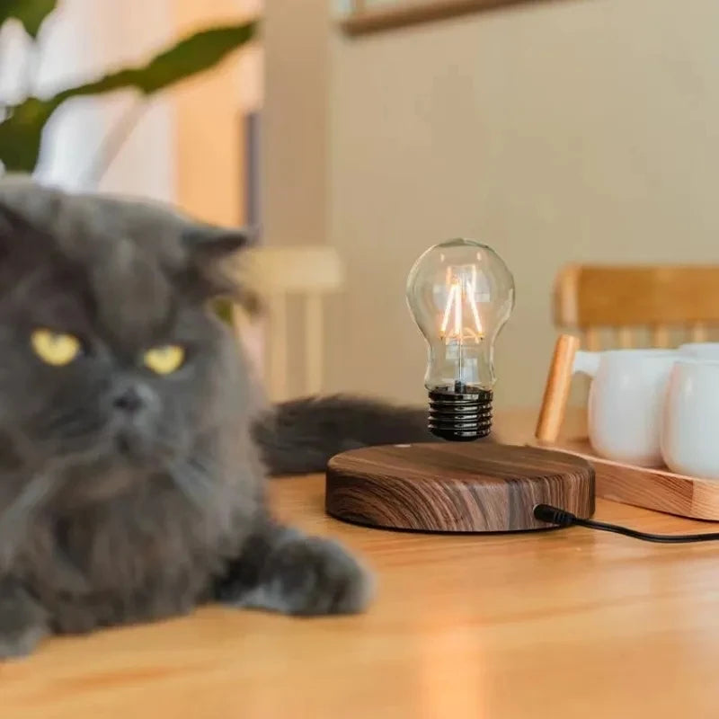 Magnetic Levitation Floating Lamp