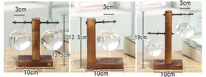 Glass Hydroponic Plant Terrarium Vase Propagation Bottle Desktop Office Green Home Decor