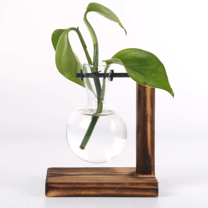 Glass Hydroponic Plant Terrarium Vase Propagation Bottle Desktop Office Green Home Decor