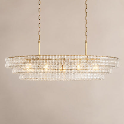Oval Steel Chandelier Adjustable Hanging LED Light