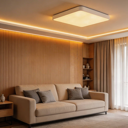 Square Sealed LED Flush Mount Ceiling Light Dimmable Remote 5 Colours