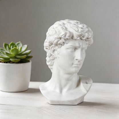 David Head Bust Sculpture Hand-Painted Resin Abstract Art Statue