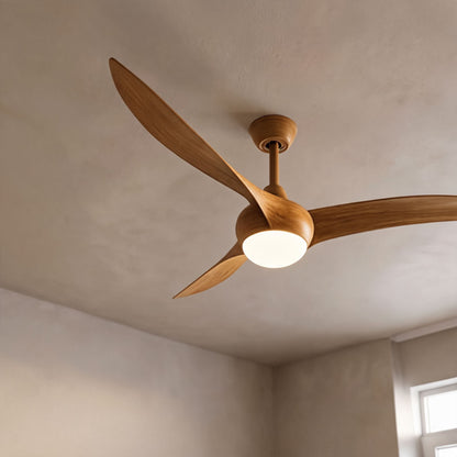 Etched Opal Glass DC Ceiling Fan with LED Light Remote and 132cm Blades