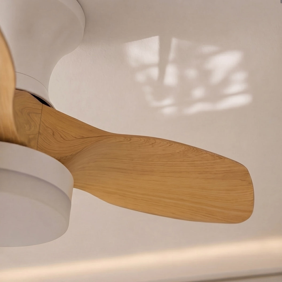 Arched Oak Blade Flush Mount Ceiling Fan with Tri-Colour LED and DC Motor