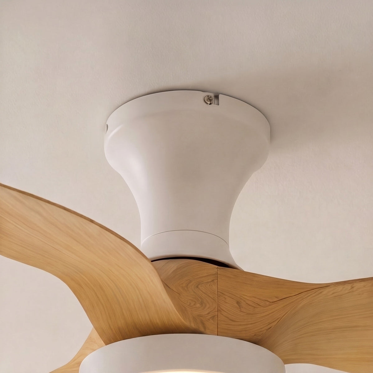 Arched Oak Blade Flush Mount Ceiling Fan with Tri-Colour LED and DC Motor