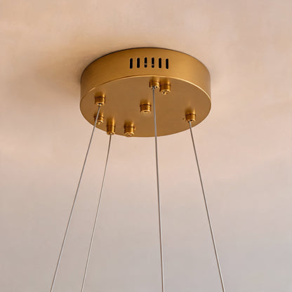Glass Shade Chandelier Adjustable Hanging LED Light