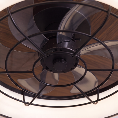 Clear Acrylic Blade Black Ceiling Fan with LED Light Strips 47 cm DC App Control